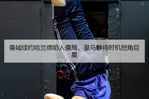 man-cheng-xu-yue-ha-lan-de-xian-ru-jiang-ju-huang-ma-jing-dai-shi-ji-wa-jiao-ju-xing-3-691.jpg