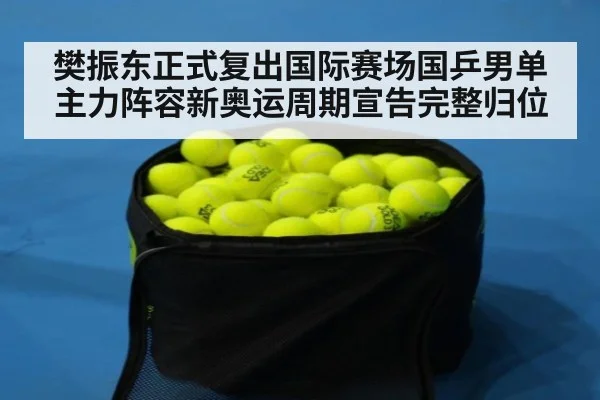 樊振东正式复出国际赛场国乒男单主力阵容新奥运周期宣告完整归位