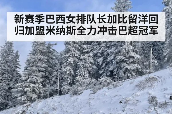 新赛季巴西女排队长加比留洋回归加盟米纳斯全力冲击巴超冠军