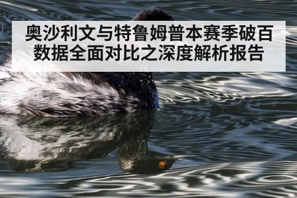 奥沙利文与特鲁姆普本赛季破百数据全面对比之深度解析报告